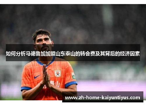 如何分析马德鲁加加盟山东泰山的转会费及其背后的经济因素