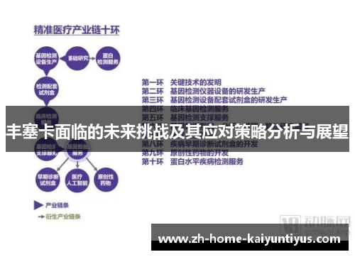 丰塞卡面临的未来挑战及其应对策略分析与展望