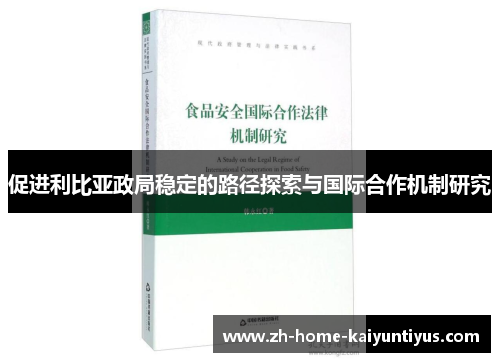 促进利比亚政局稳定的路径探索与国际合作机制研究