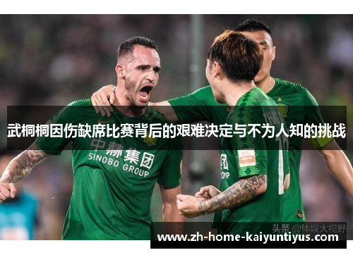 武桐桐因伤缺席比赛背后的艰难决定与不为人知的挑战
