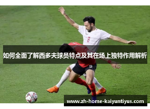 如何全面了解西多夫球员特点及其在场上独特作用解析