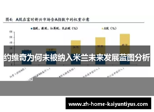 约维奇为何未被纳入米兰未来发展蓝图分析