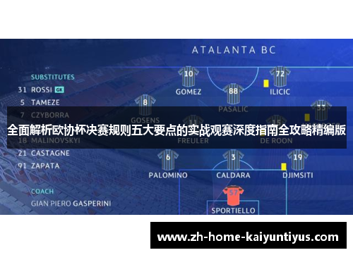 全面解析欧协杯决赛规则五大要点的实战观赛深度指南全攻略精编版