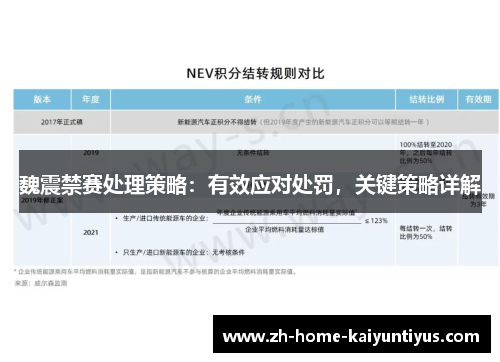 魏震禁赛处理策略：有效应对处罚，关键策略详解