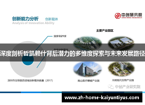 深度剖析哲凯赖什背后潜力的多维度探索与未来发展路径