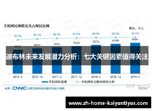 迪布林未来发展潜力分析：七大关键因素值得关注